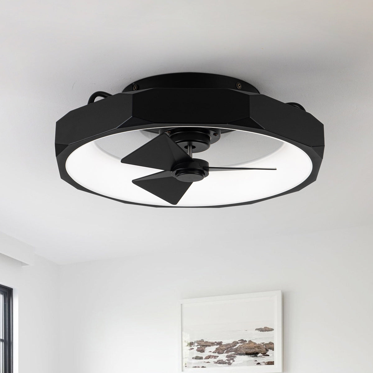 Parrot Uncle 19 in. Matte Black Industrial Ceiling Fan