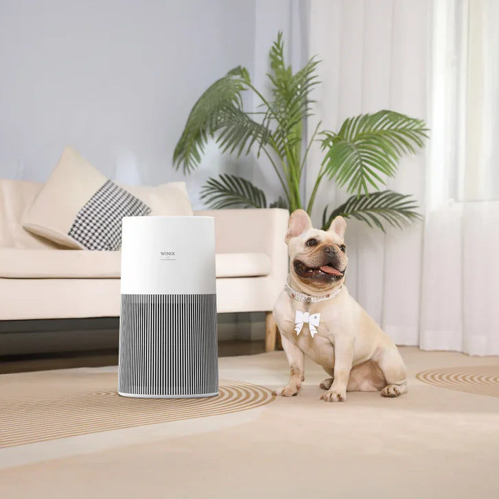 Winix C610 4-Stage Air Purifier with WIFI and PlasmaWave Technology