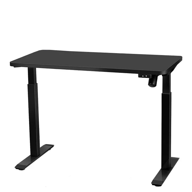 Motionwise 121.9 cm x 61 cm (48 in. x 24 in.) Single Motor Height Adjustable Desk