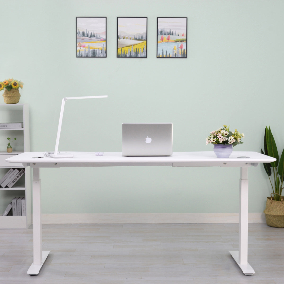 Motionwise 152.4 cm x 76.2 cm (60 in. x 30 in.) Height Adjustable Desk
