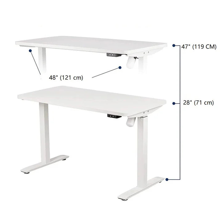 Motionwise 121.9 cm x 61 cm (48 in. x 24 in.) Single Motor Height Adjustable Desk