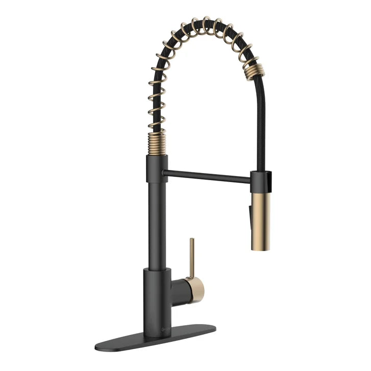 Akuaplus Aurora Pull-Down Kitchen Faucet.