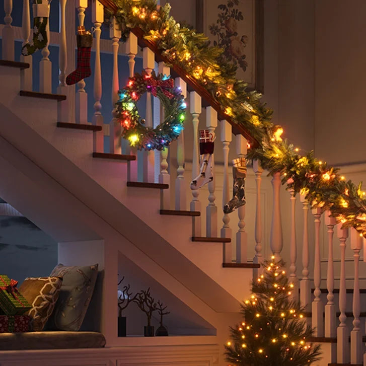 GOVEE 30.48 m (100 ft) Christmas String Lights 2S