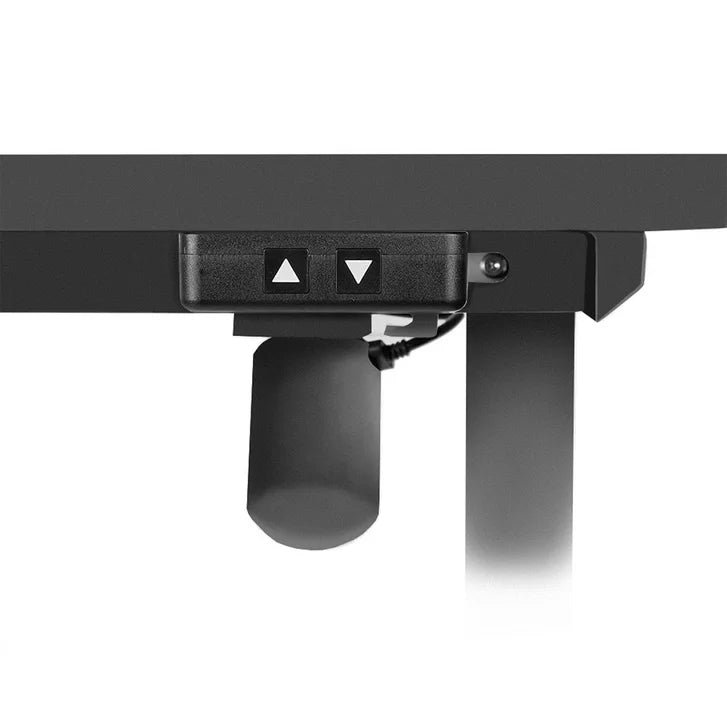 Motionwise 121.9 cm x 61 cm (48 in. x 24 in.) Single Motor Height Adjustable Desk