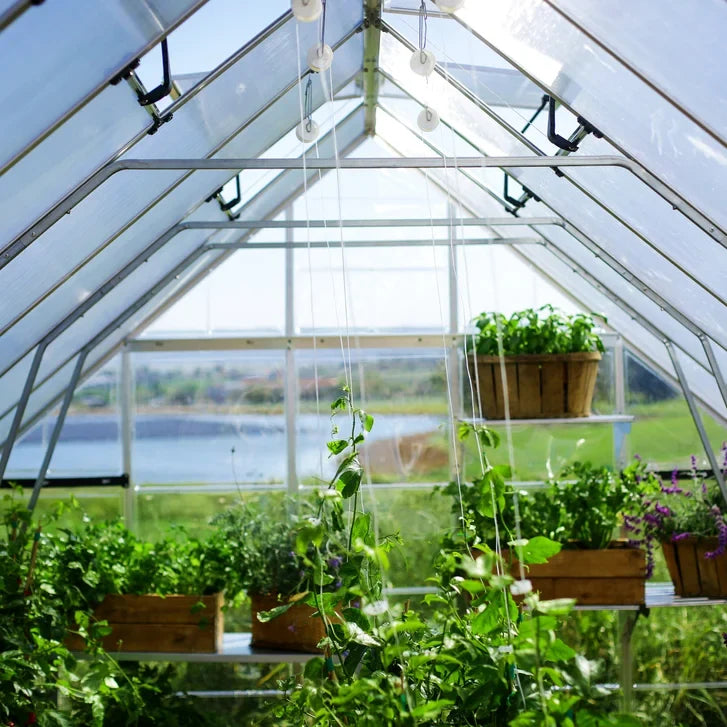 Canopia by Palram 10 ft. x 12 ft. Balance Hybrid Greenhouse