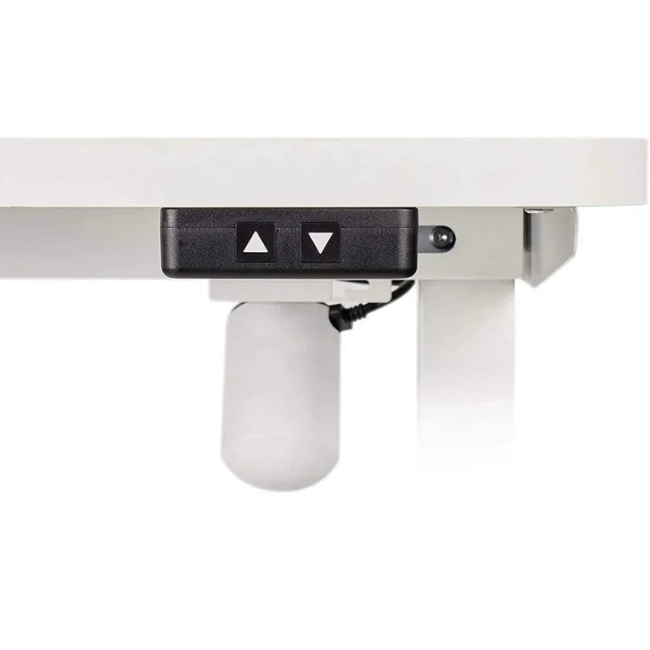 Motionwise 121.9 cm x 61 cm (48 in. x 24 in.) Single Motor Height Adjustable Desk