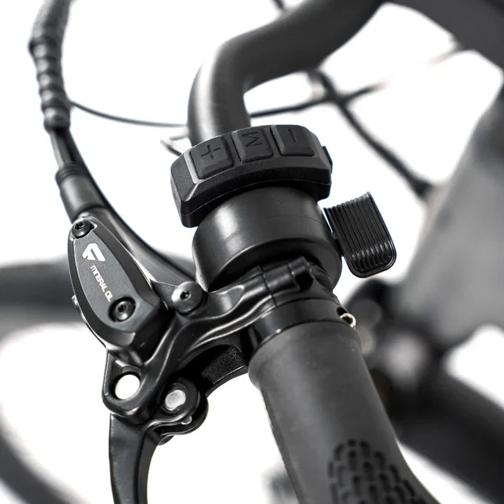 Favorite Hybrid CSC Electric Bike, Step Through