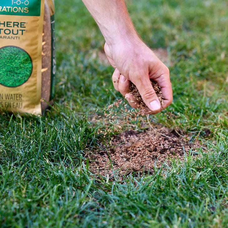 Scotts EZ Seed Patch & Repair 1-0-0 11.34kg