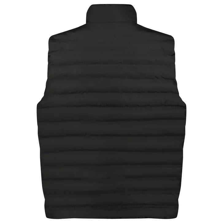 Dakine Men's Alpine Vest