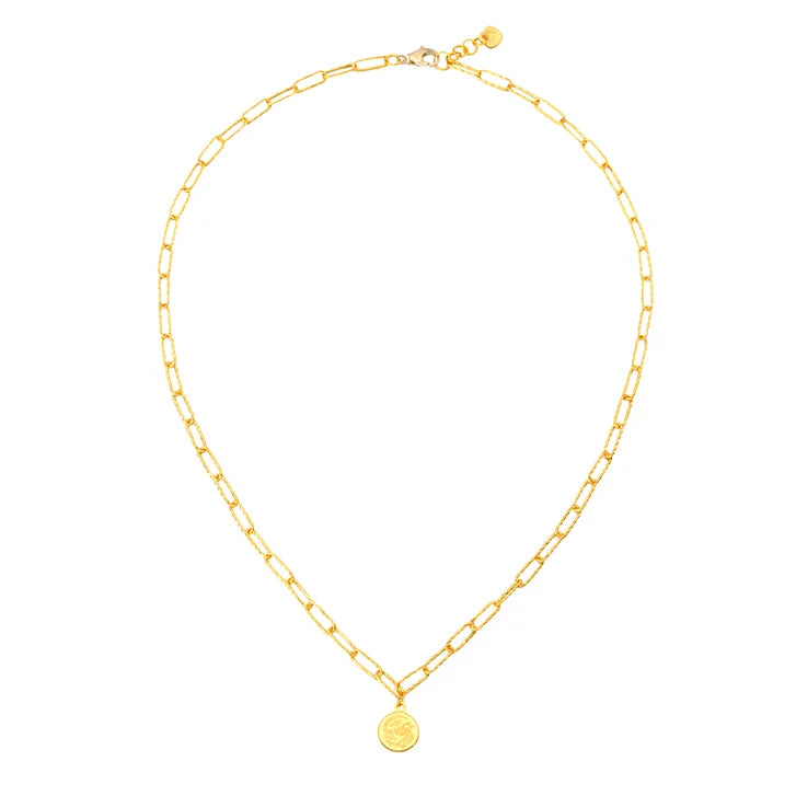Coin Charm Paperclip Necklace in 24-kt Yellow Gold