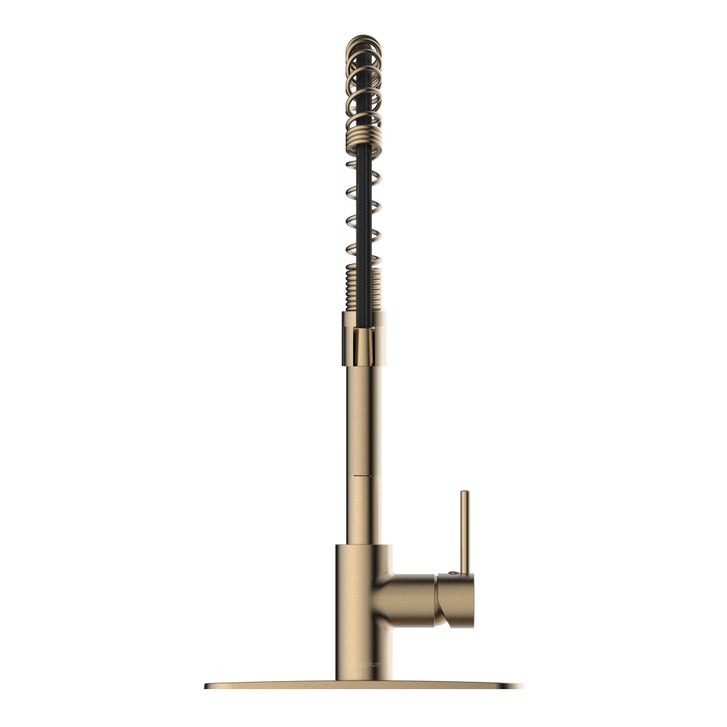 Akuaplus Aurora Pull-Down Kitchen Faucet.