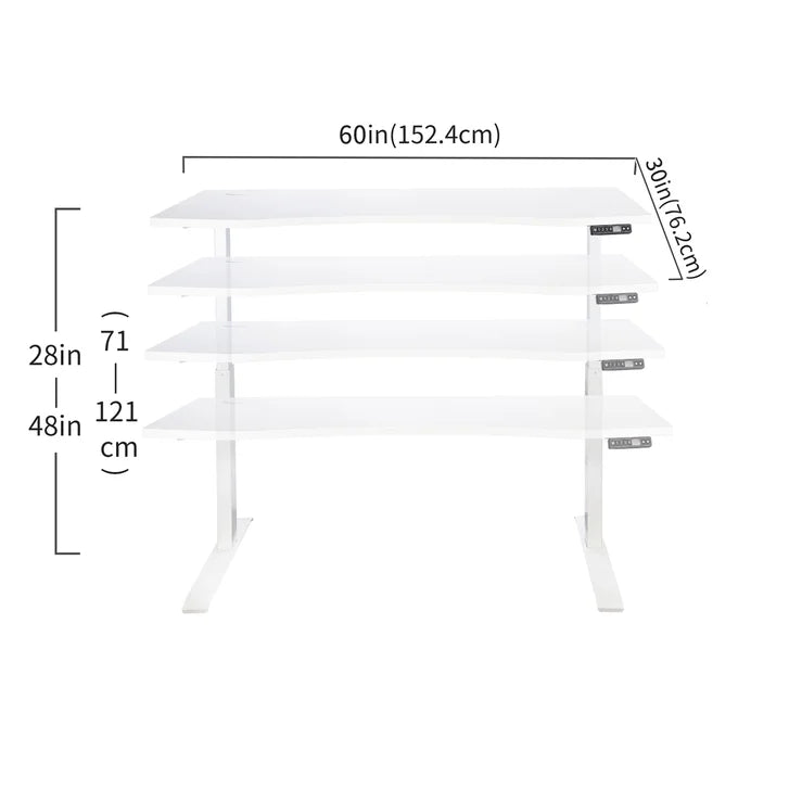 Motionwise 152.4 cm x 76.2 cm (60 in. x 30 in.) Height Adjustable Desk