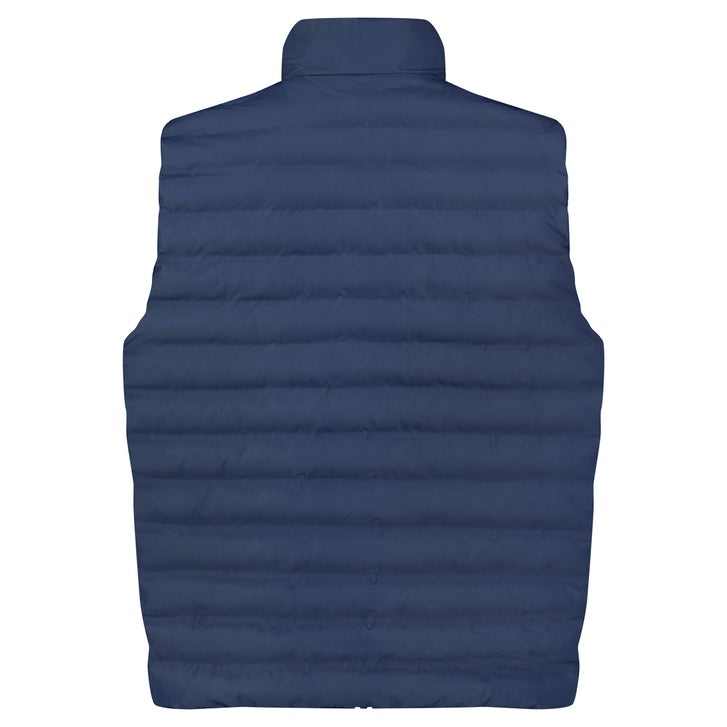 Dakine Men's Alpine Vest
