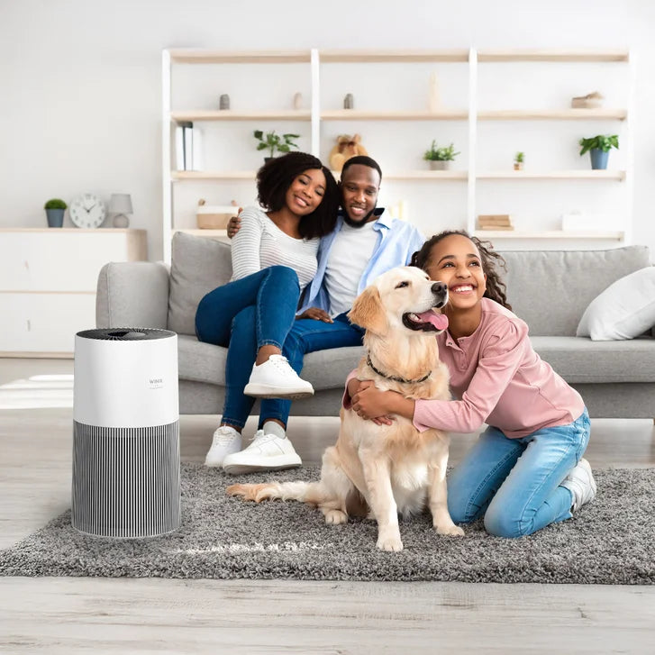 Winix C610 4-Stage Air Purifier with WIFI and PlasmaWave Technology