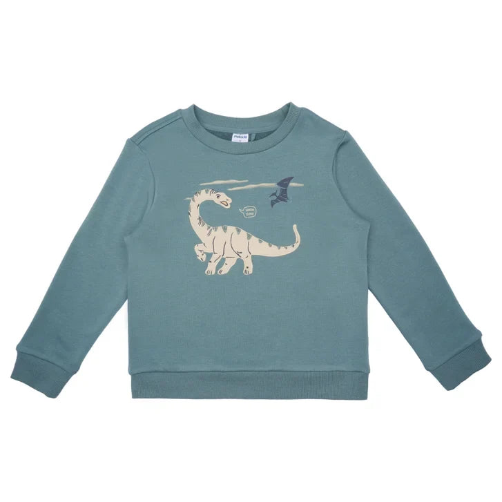Pekkle Boys' and Girls' Cozy Fuzzy Fleece 2-piece Sweatshirt and Pants Set