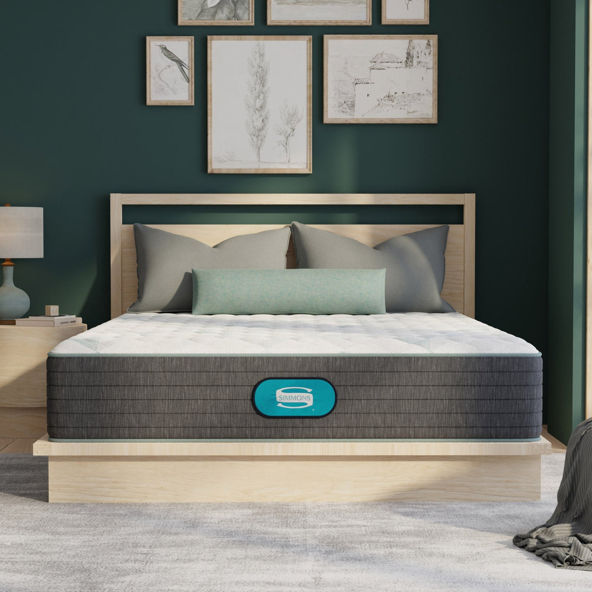 Simmons Delta - 29.2 cm (11.5 in.) Mattress or Set