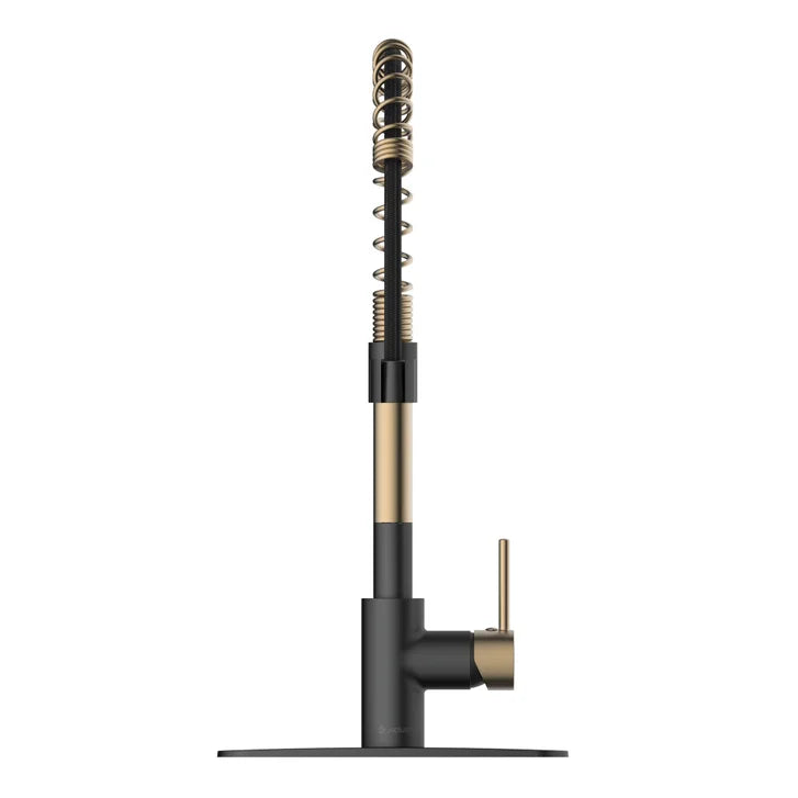 Akuaplus Aurora Pull-Down Kitchen Faucet.