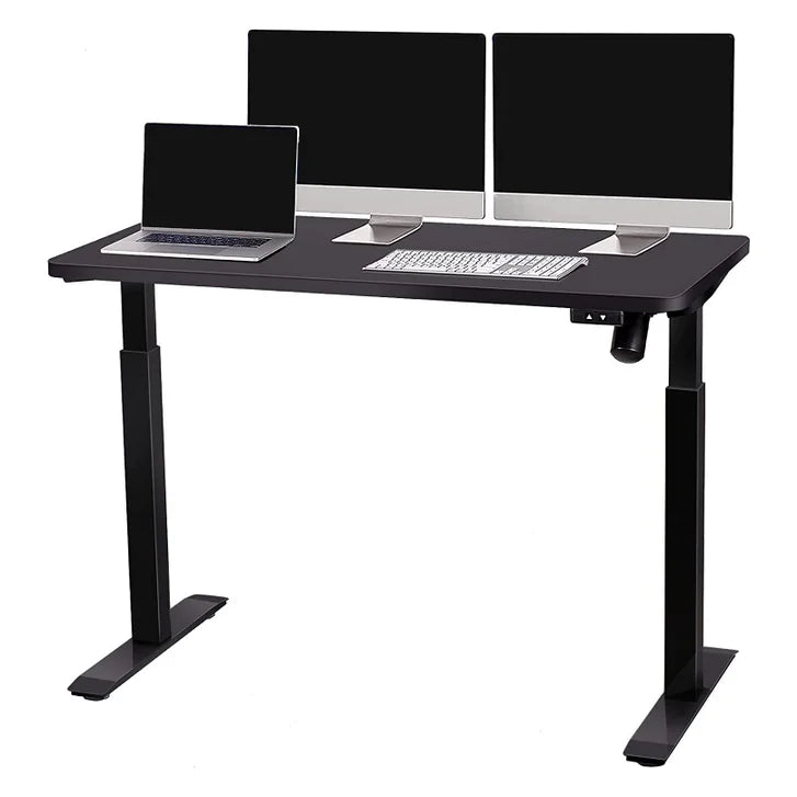 Motionwise 121.9 cm x 61 cm (48 in. x 24 in.) Single Motor Height Adjustable Desk