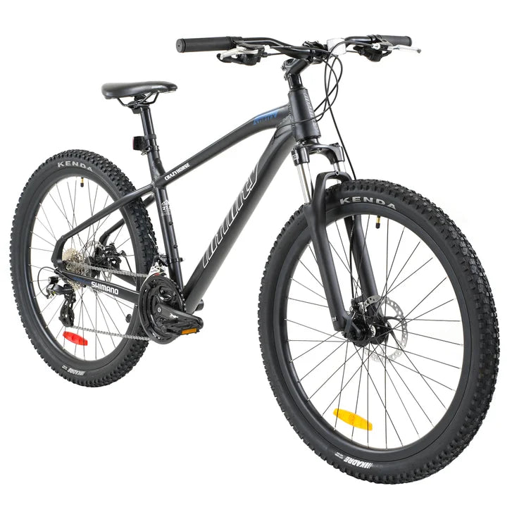 Infinity Vortex Mountain Bike