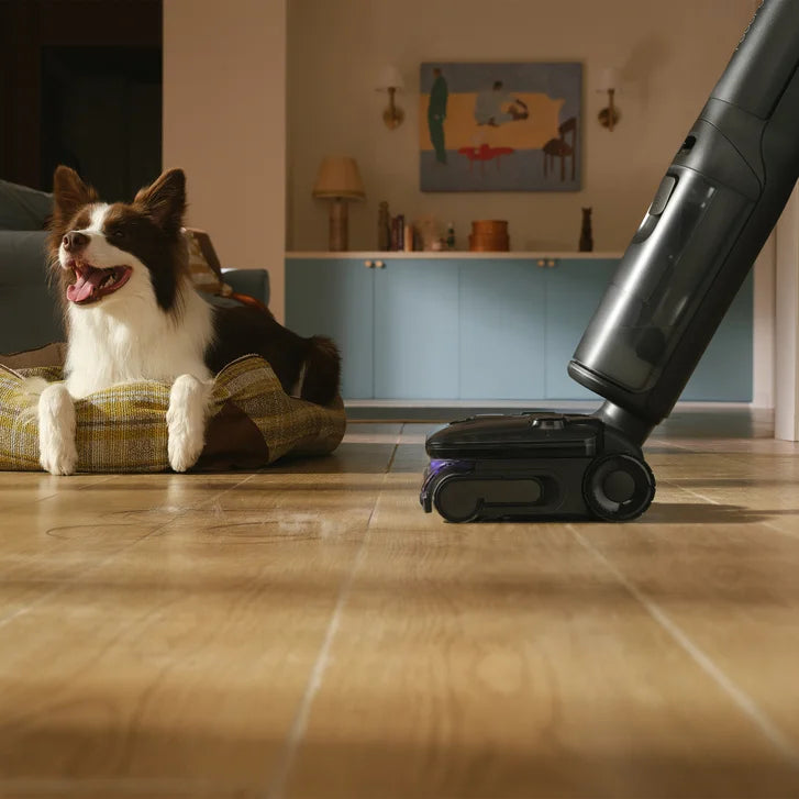 Roborock FX25 Steam Cordless Wet Dry Vacuum Cleaner with 25000 Pa Suction Power