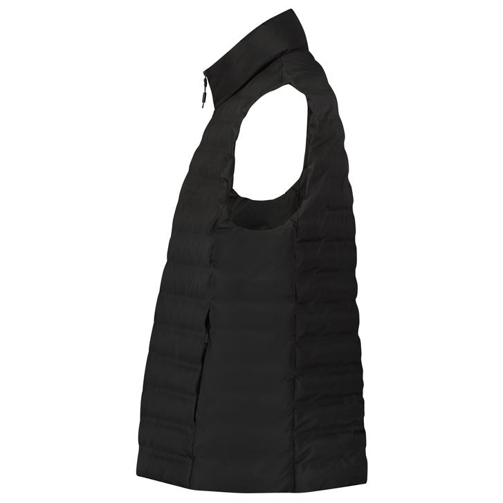 Dakine Men's Alpine Vest