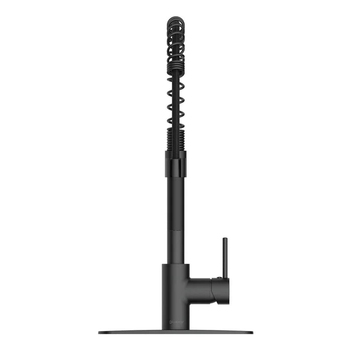 Akuaplus Aurora Pull-Down Kitchen Faucet.