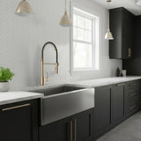 Akuaplus Aurora Pull-Down Kitchen Faucet.