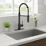 Akuaplus Aurora Pull-Down Kitchen Faucet.