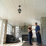 SnapClip Suspended Ceiling System (64 sq. ft.)