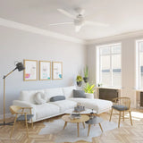 Hunter Fan Zayden 52 in. Ceiling Fan