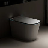 AQUAVIT PURITY Elongated Smart Bidet Toilet with foam/deodorizer