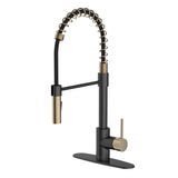 Akuaplus Aurora Pull-Down Kitchen Faucet.