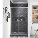OVE Decors Kelsey 48 in. Sliding Glass Shower Door with Hardware