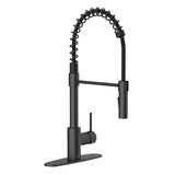 Akuaplus Aurora Pull-Down Kitchen Faucet.