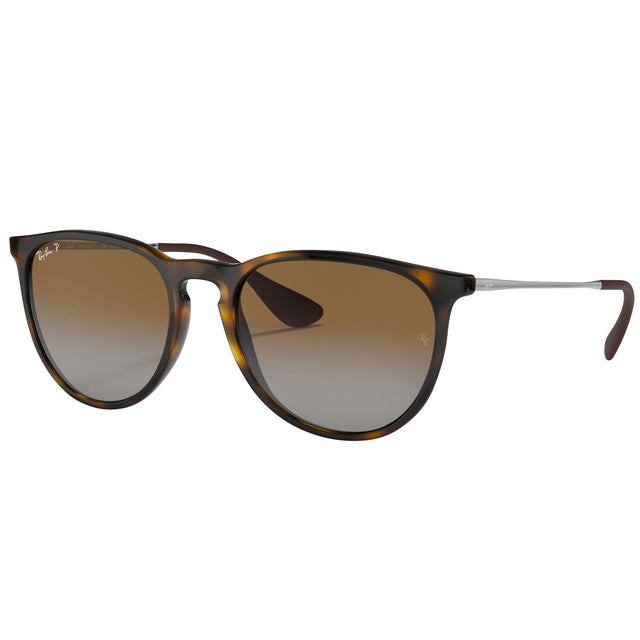 Ray-Ban Erika Classic RB4171 Polarized Sunglasses N4