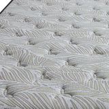 Beautyrest Natural Care Laurel Tight Top Twin XL Mattress or Set