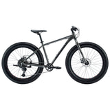 Northrock XCF Fat Tire Bike