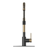 Akuaplus Aurora Pull-Down Kitchen Faucet.