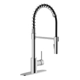 Akuaplus Aurora Pull-Down Kitchen Faucet.