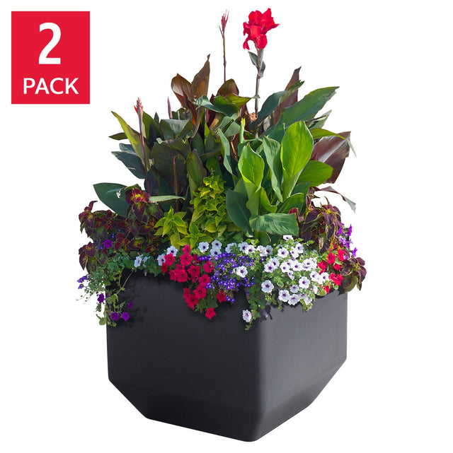 Versa 40.6 cm (16 in.) Square Self-watering Planter, 2-pack R9