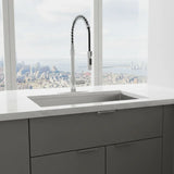 Akuaplus Aurora Pull-Down Kitchen Faucet.